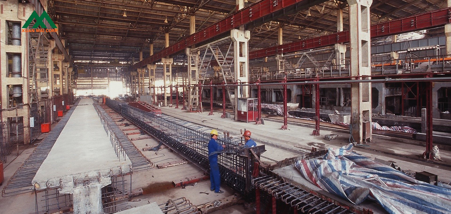 2003